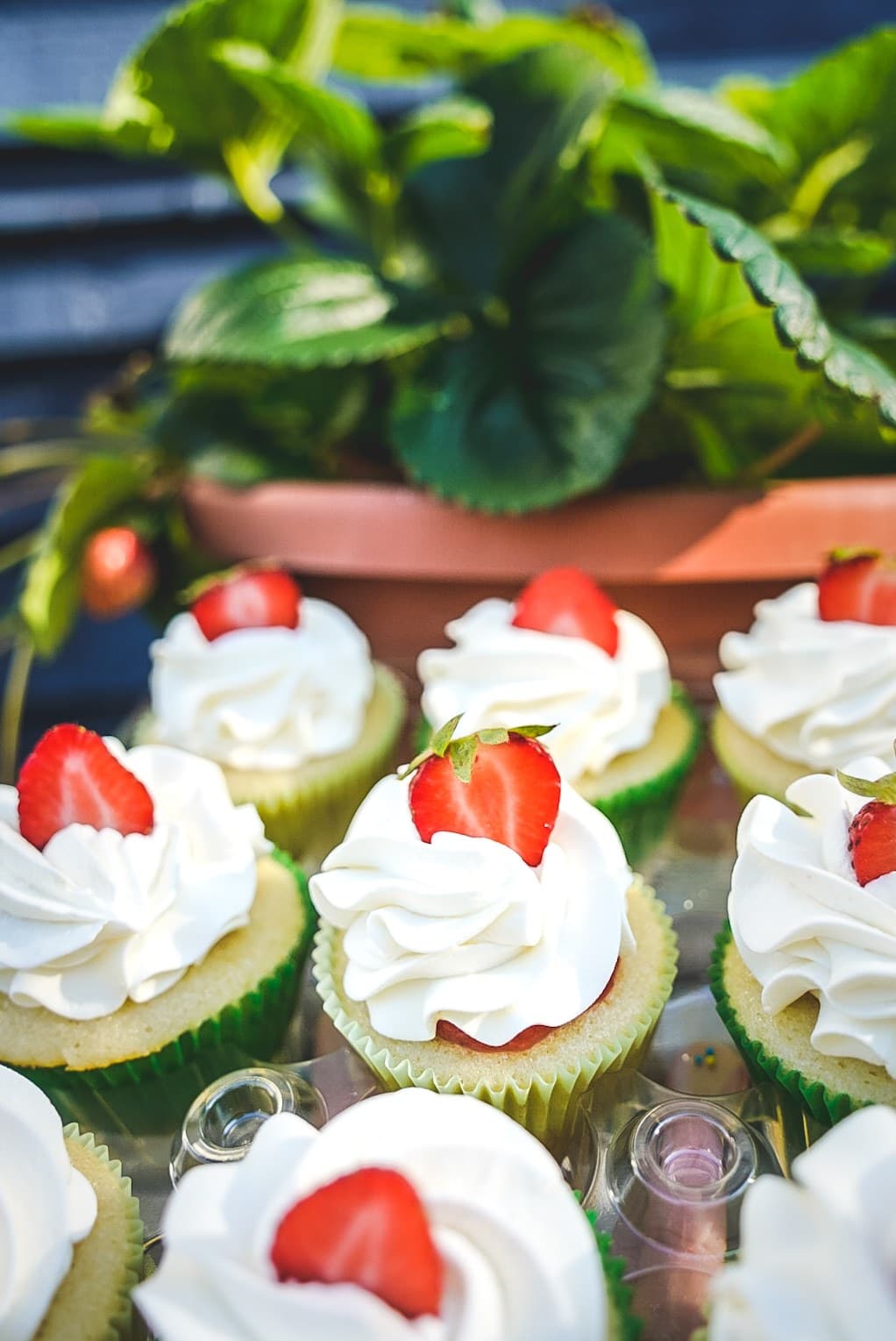 Strawberry-topped cupcakes in the garden