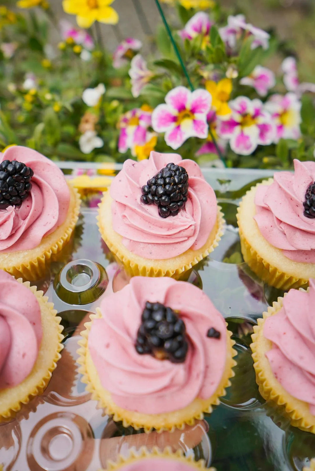 Blackberry buttercream cupcakes in the garden