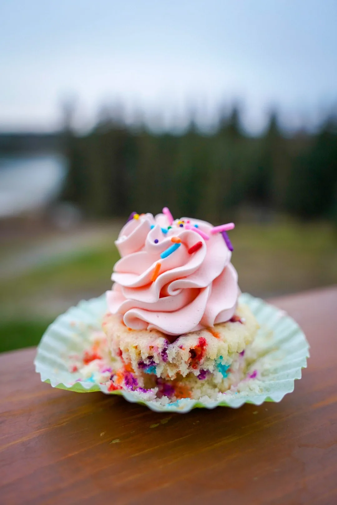 Pink swirl cupcake with sprinkles